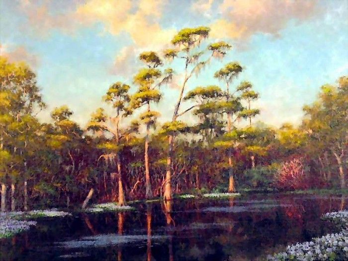 gentle breezes csg018 reedy creek. ,  