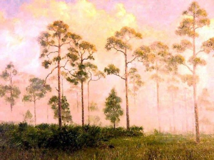 gentle breezes csg028 morning mist. ,  