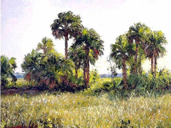 gentle breezes csg002 palmetto hammock. ,  