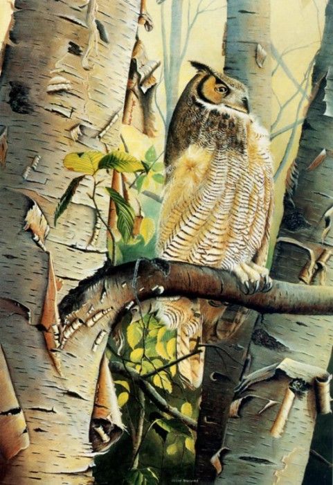 Jules Bouchard - Great Gray Owl, De. , 