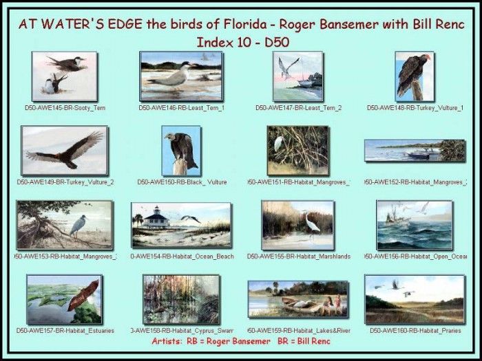 D50-At Waters Edge-Index 10. Bansemer, 