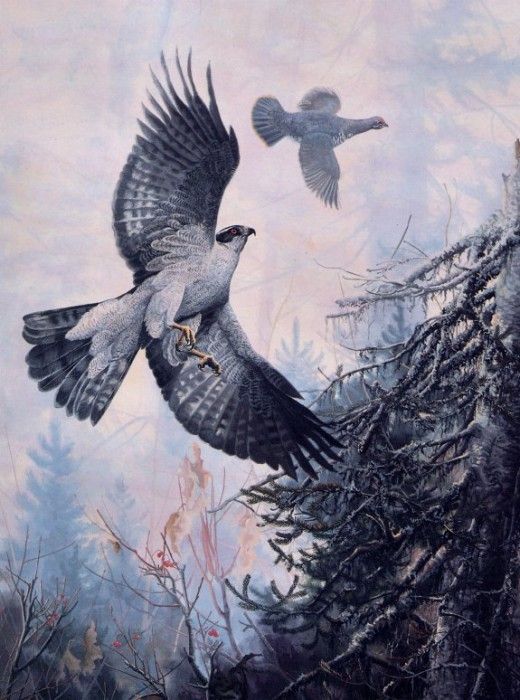 Gisele Benoit - Autour en Chasse, De. , 