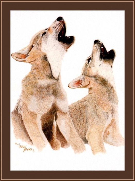 bs-na- Larry Bees- Duet. , 