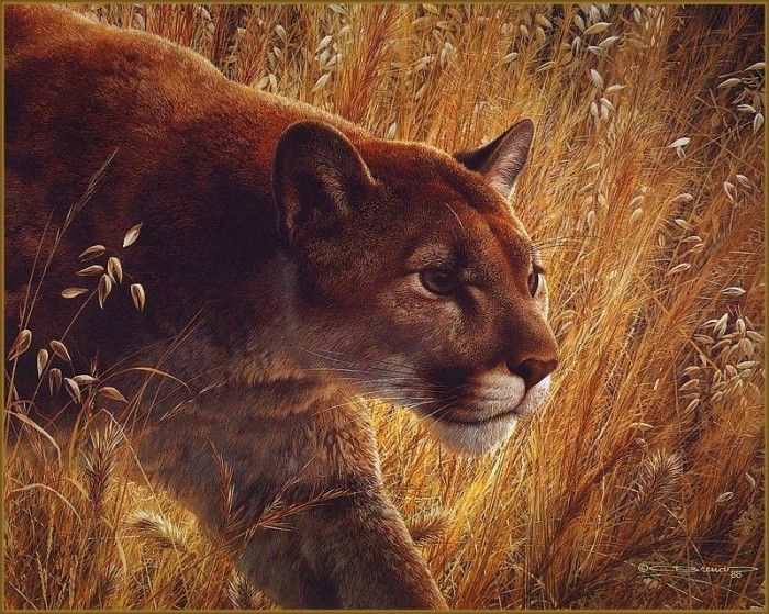 lrsBendersCarl-PredatorsWalk. , 
