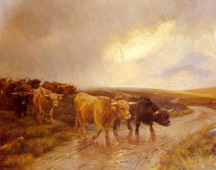 Barker Wright Highland Cattle. , 