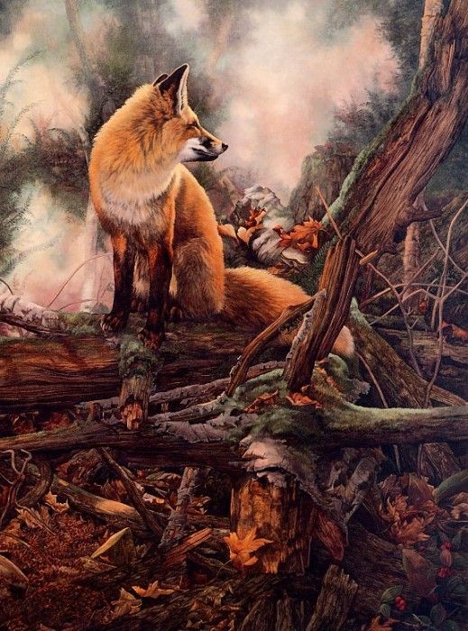 Monique Benoit - La foret enchantee, De. , 