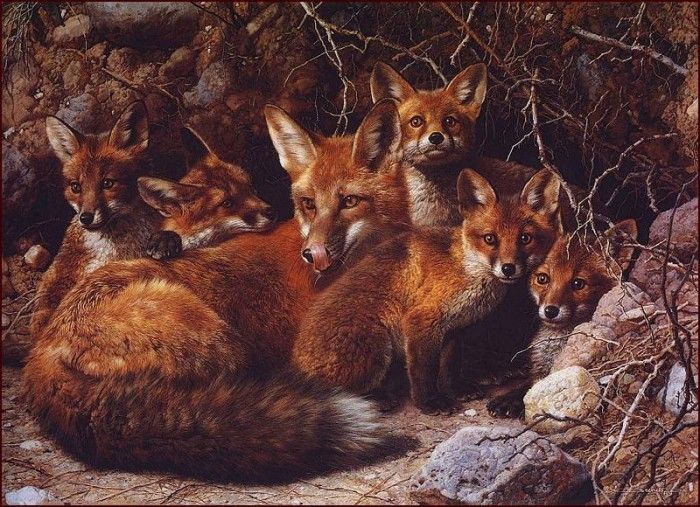 lrsBendersCarl-FullHouseFoxFamily. , 