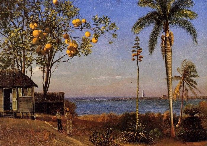 Bierstadt Albert A View in the Bahamas. , 