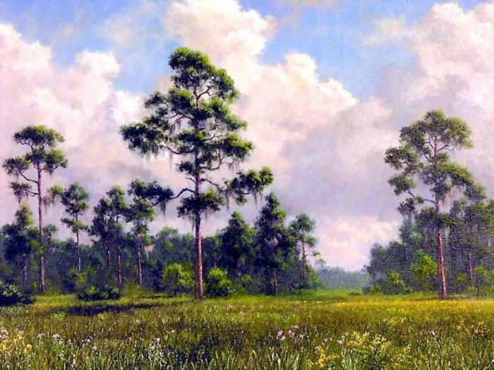 gentle breezes csg025 poinciana boulevard. ,  