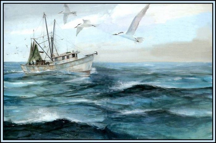D50-AWE156-RB-Habitat Open Ocean. Bansemer, 